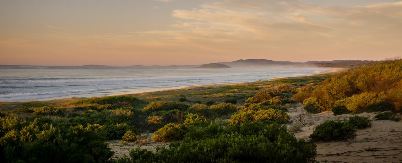 Wairo Beach Holiday Park Tabourie Lake Exteriör bild